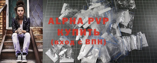 индика Нязепетровск