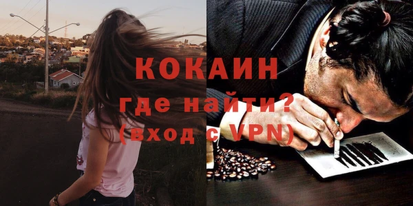 шишки Няндома