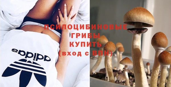 спайс Балабаново